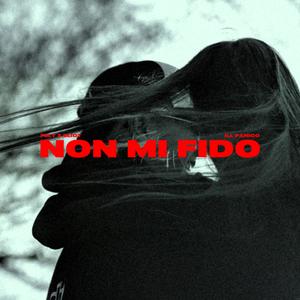 Non mi fido (feat. iLL PaNico)