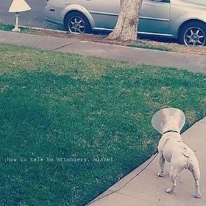 waking up (just another day)