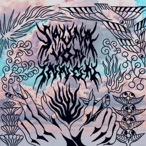 Mikrochip (Explicit)