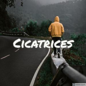 Cicatrices