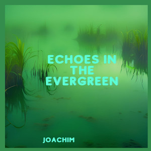 Echoes in the Evergreen