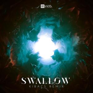 Swallow (Kibacs Remix)