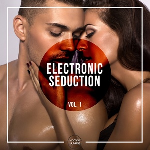 Electronic Seduction, Vol. 1