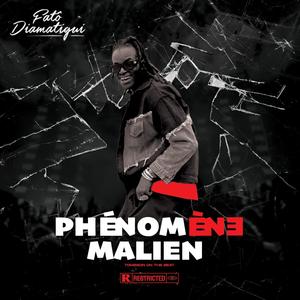 PHÉNOMÈNE MALIEN