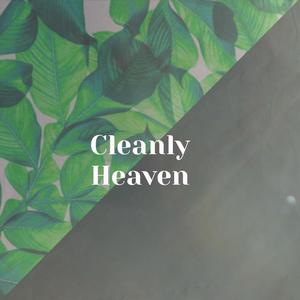 Cleanly Heaven