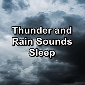 Thunder and Rain Sounds Sleep