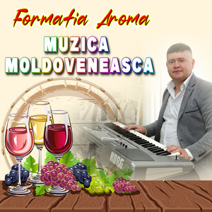 Muzica Moldoveneasca - Muzica de Petrecere din Moldova