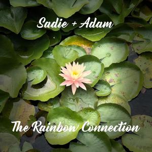 The Rainbow Connection