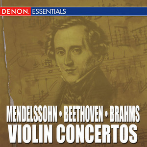 Violin Concerto in D Major, Op. 61 - I. Allegro ma non troppo