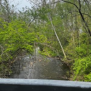 Trust in You (feat. Big E) (Explicit)