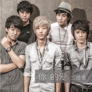 你的爱 (电声版)