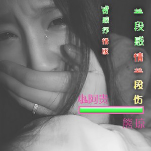 一段感情一段伤（伤感） (伴奏)