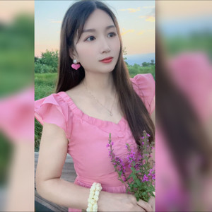 梦里水乡封面
