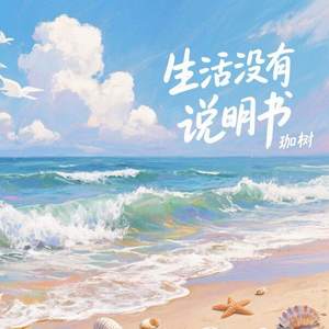 生活没有说明书