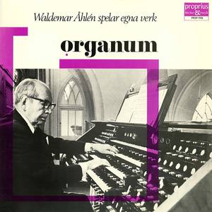 ÅHLÉNS, W.: Organ Music (Åhléns)