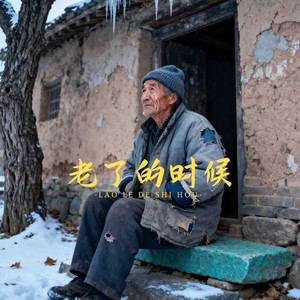 杨仪波 - 老了的时候