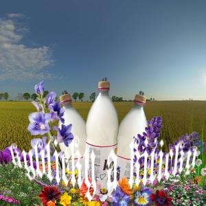 kyblíčky a kytičky (Explicit)