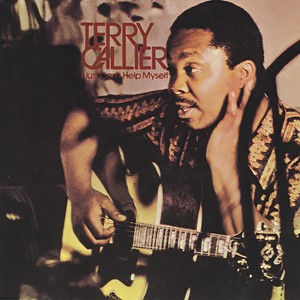 Terry Callier - Satin Doll