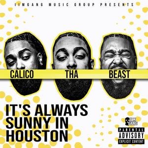 It's Always Sunny in Houston (Explicit)