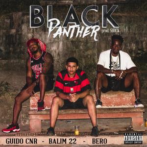 Black Panther (feat. Guido Cnr) [Explicit]