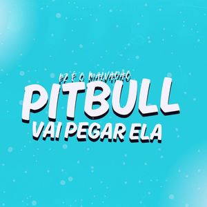 Pz é o Malvadão vs Pitbull Vai Pegar Ela (Explicit)