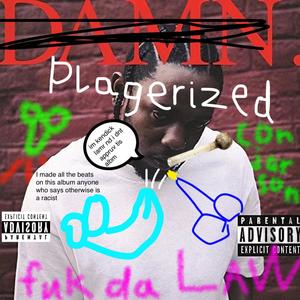 PLAGERIZED (Explicit)