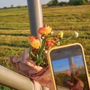 只想牵起你的手