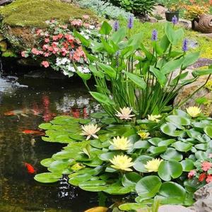 talk pluggnb (Explicit)