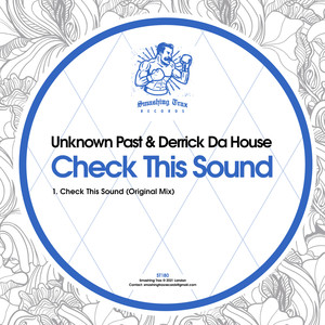 Check This Sound (Original Mix)