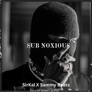 sub noxious (Radio Edit) [Explicit]