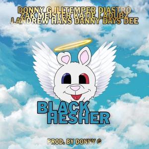 Black Hesher (feat. Illtemper, Diastro, Zak Meister, Katie Ladubz, J. Andrew, Hans, Danny Days & Dee) [Explicit]