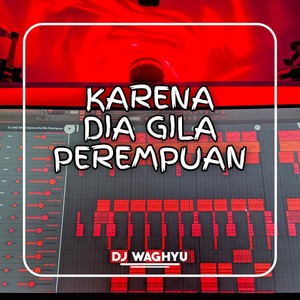 Karena DIa Gila Perempuan