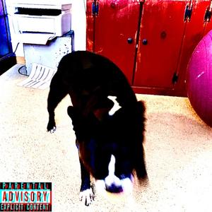 Moneybag(feat. Biggy B) (Remix)