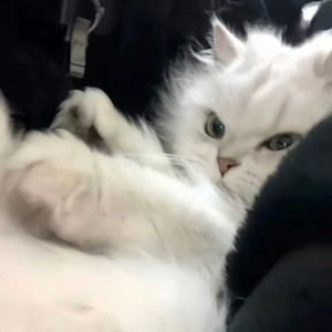 魔法城堡 (DJ鼓点版)