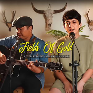 Fields Of Gold (Acoustic)
