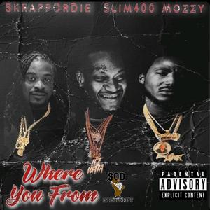 SkrappOrdie / Where you from(feat. Mozzy & Slim400) (Explicit)