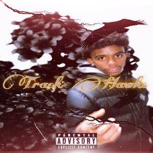 Track Hawks (Remix) [Explicit]