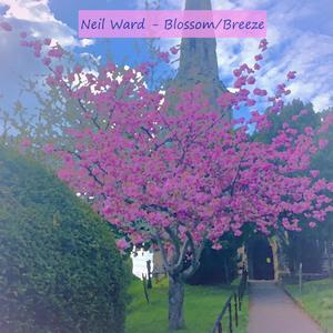 Blossom/Breeze