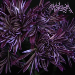 Sycophant(feat. Kyle Medina) (Explicit)