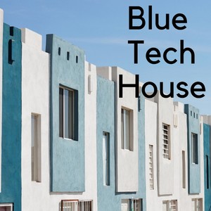 BLUE TECH HOUSE