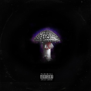 Black Fly Agaric (Explicit)