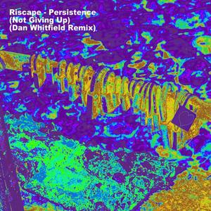 Persistence (Dan Whitfield Remix)