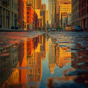 City Reflections