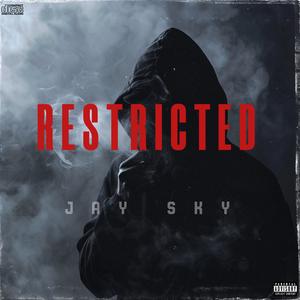 RESTRICTED (feat. Bill Medley, John Waite & Pluko) (Explicit)
