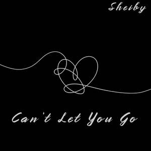 Can't Let You Go