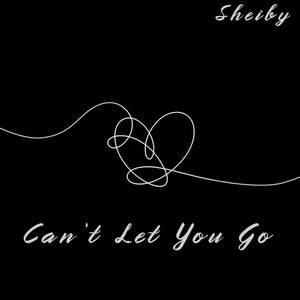Can't Let You Go