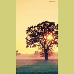 三十岁的女人 (吉他版)