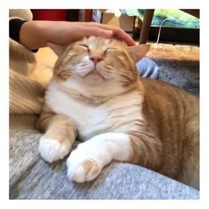 Youth Of Today (Explicit)