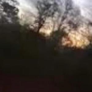 arctic fox (feat. plooto) (Remix|Explicit)