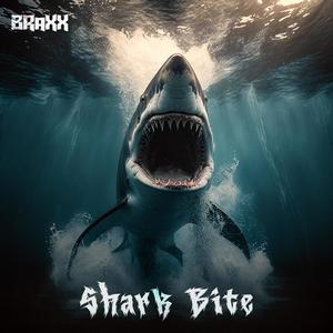 Shark Bite (Sample Selections)